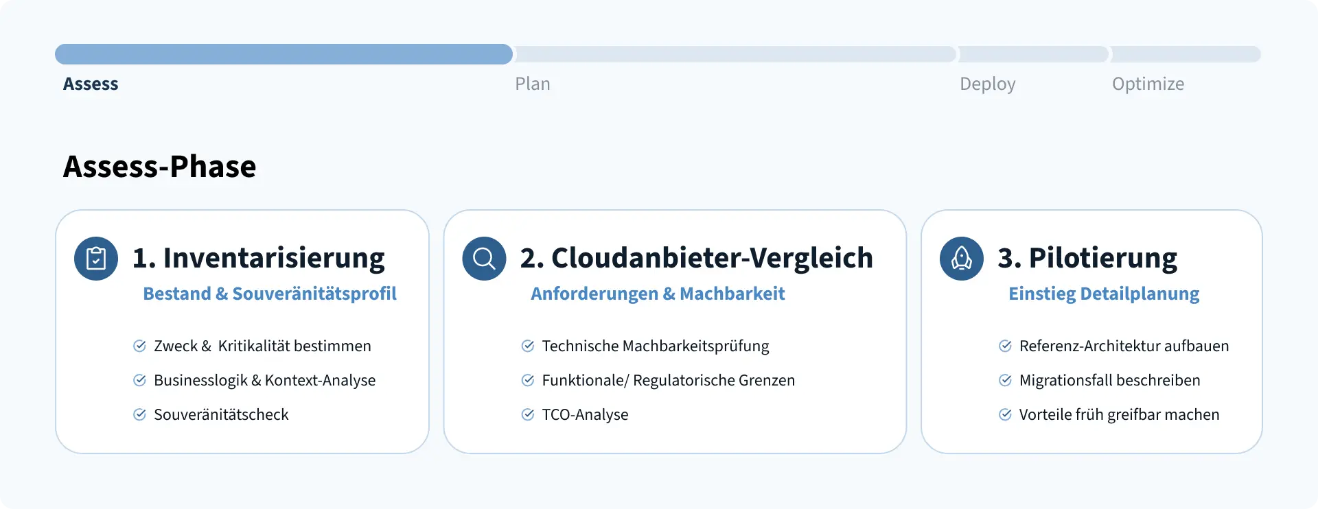 Ablauf der Assess-Phase
