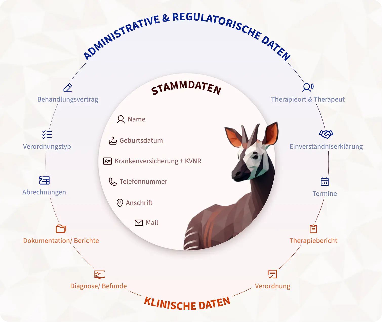 Infographic diagram of the categorization of patient data into master, administrative, and clinical data.
